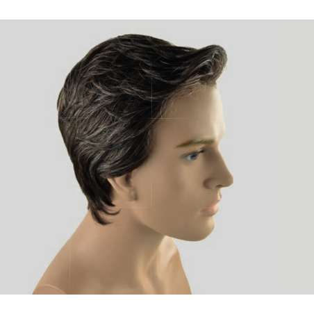 Raphaël- Perruque Homme synthétique